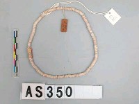 藏品(貝貨)的圖片